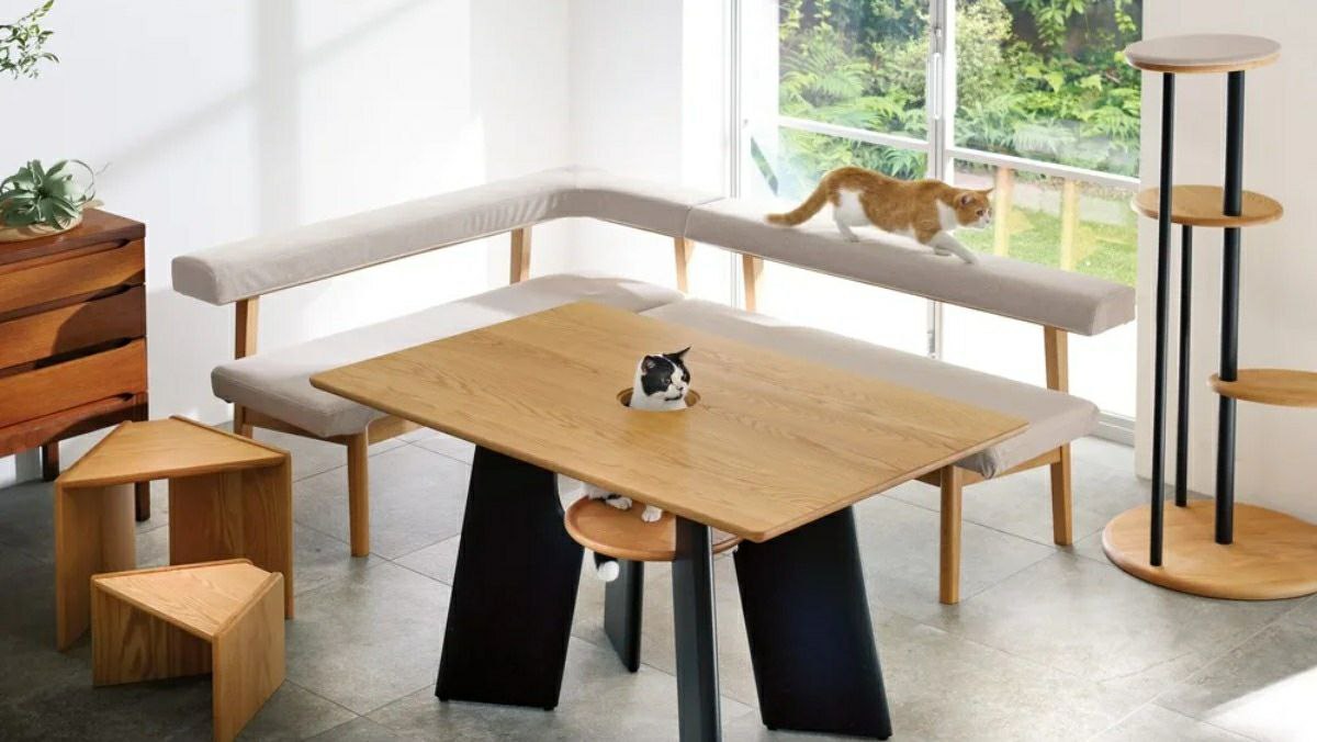 Japonská spoločnosť predstavuje jedálenský stôl so špeciálnym miestom pre vášho mačacieho miláčika.